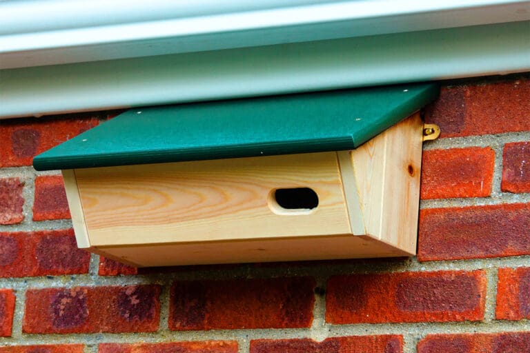 A Swift nest box.