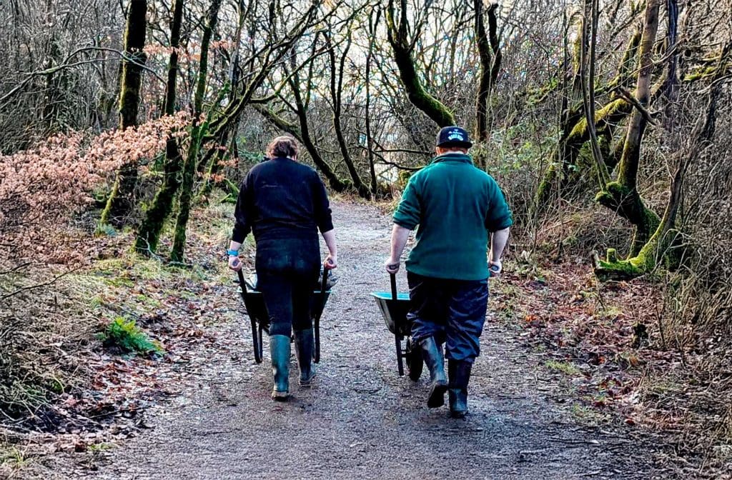 Two adults pushing wheelbarrows along a path through a wooded area