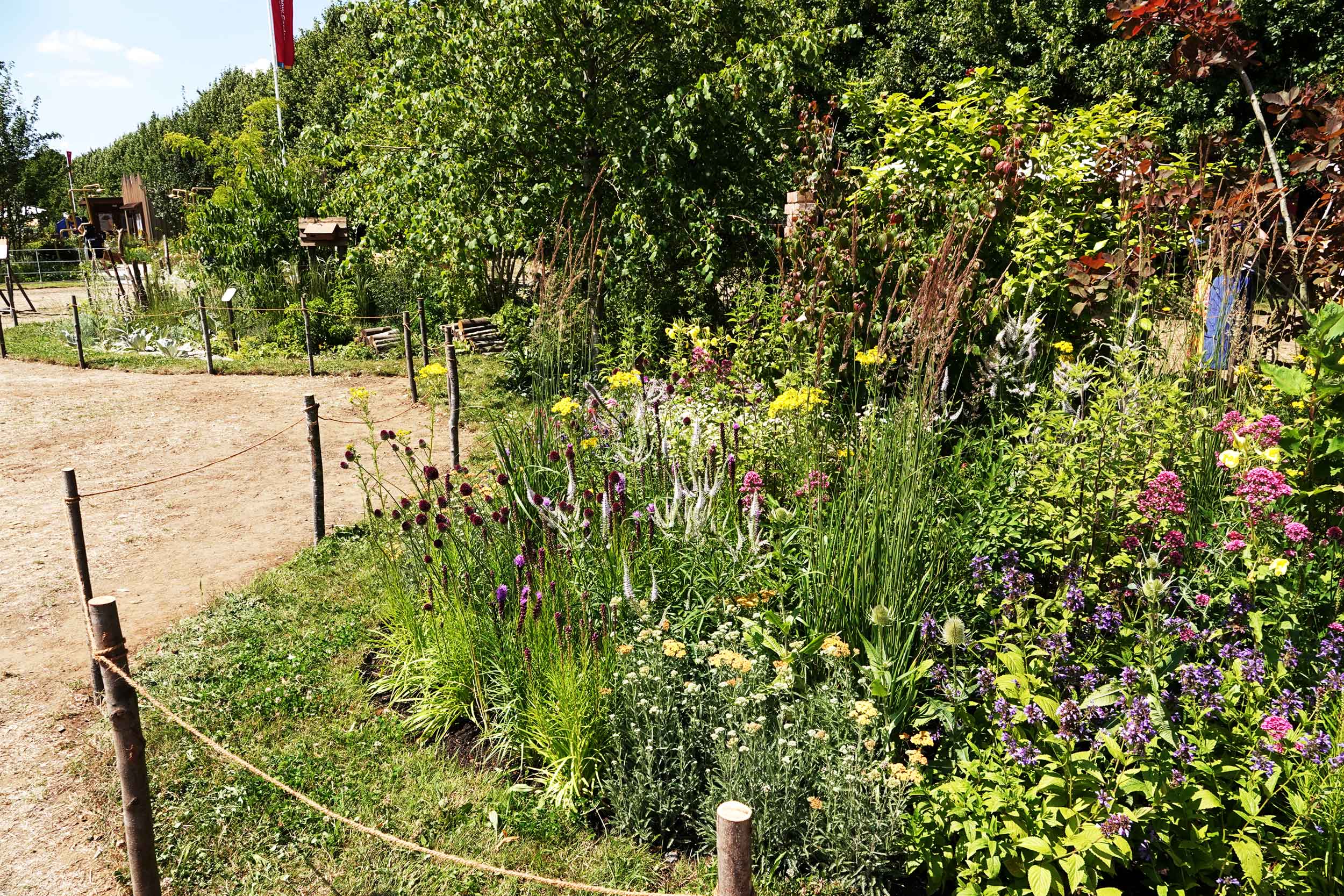 A colourful variety of plants in a roped-off garden