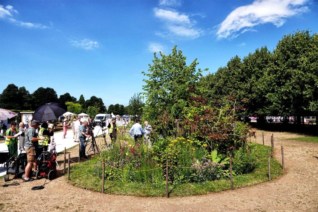A vibrant green area filled with different flowers and small trees. There are photographers and a camera crew recording an interview between two men in the garden area