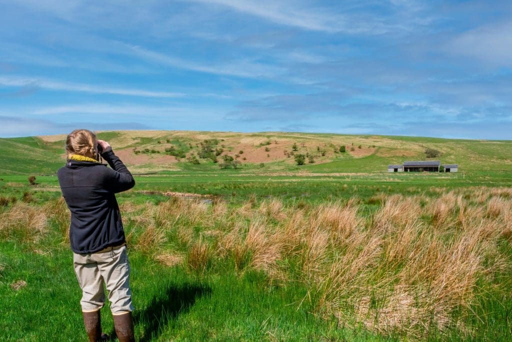 A woman looking through binoculars, stood in Cairngorms National Park