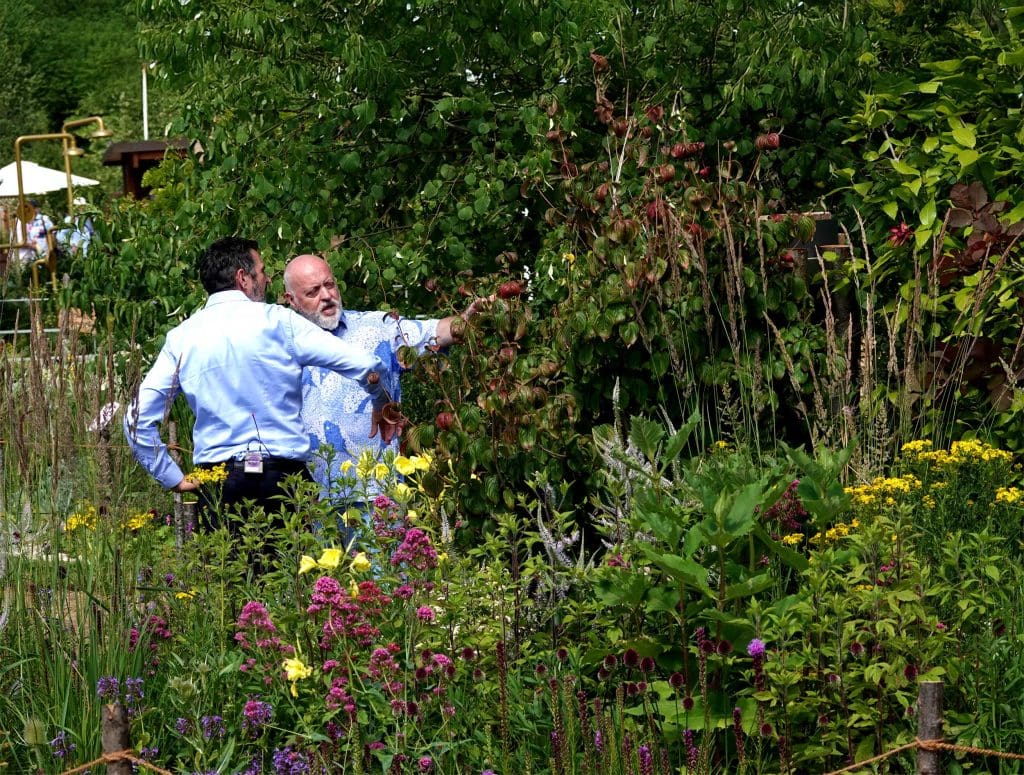 Two men stand talking amongst a vibrant garden of colourful plants