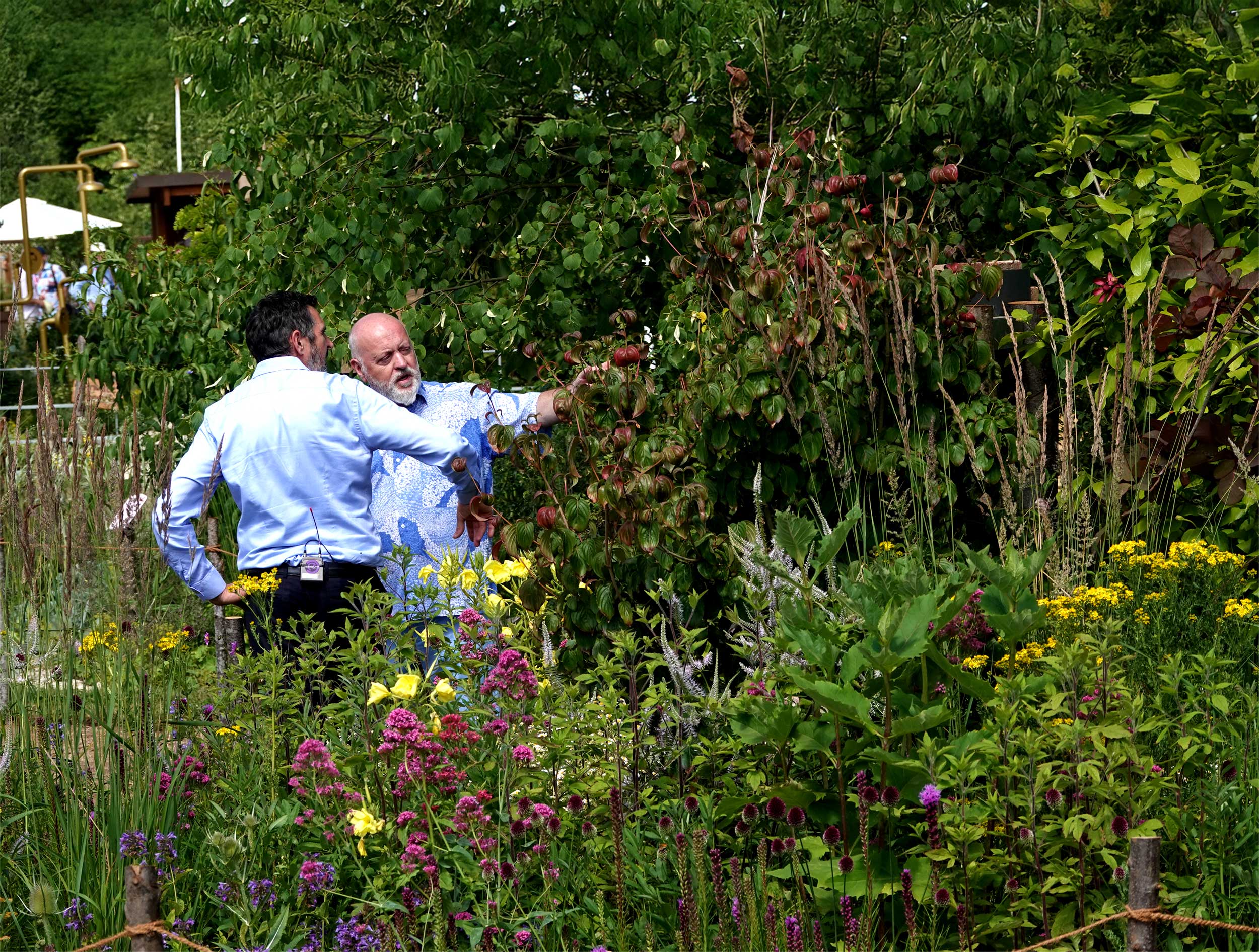 Two men stand talking amongst a vibrant garden of colourful plants