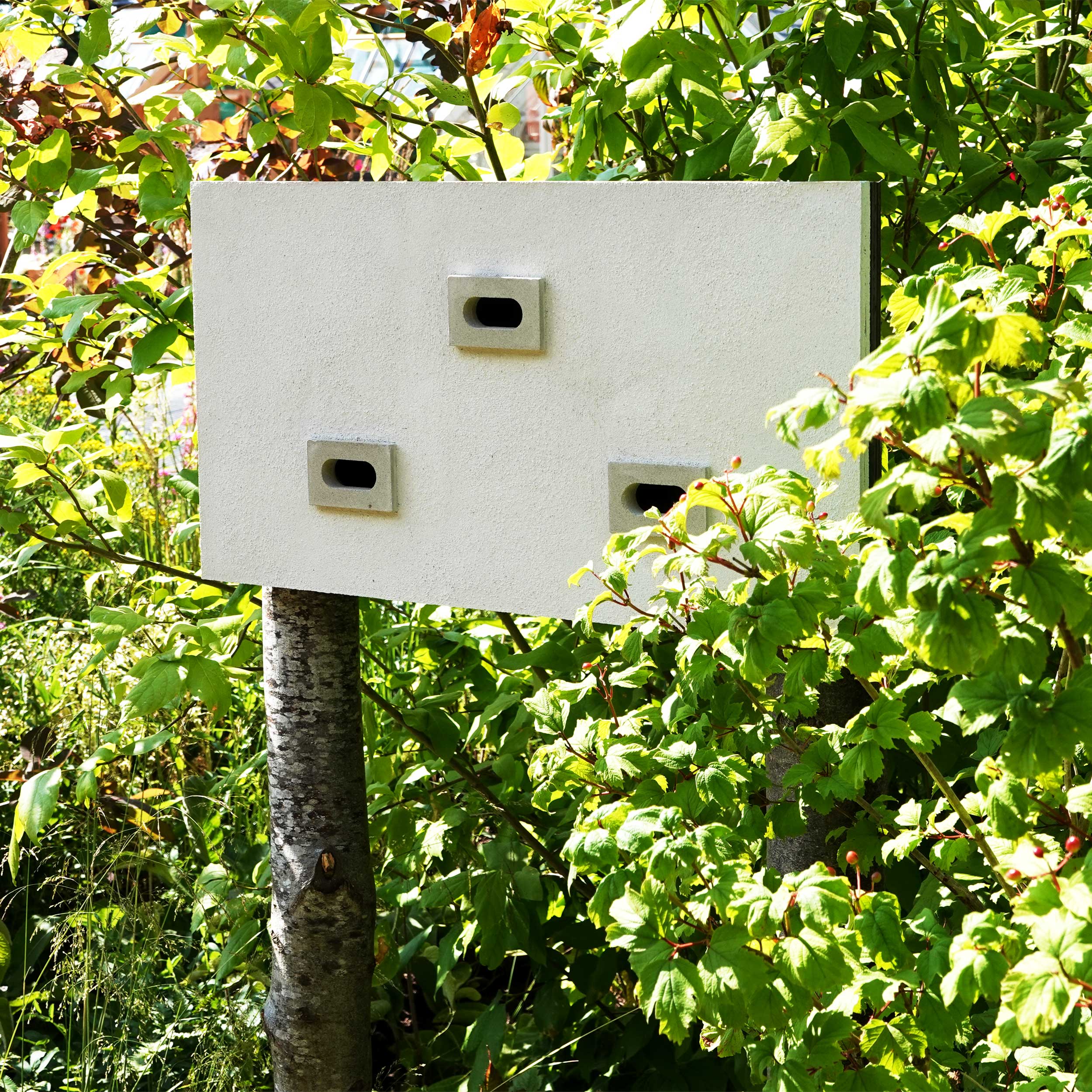 Integrated Swift boxes fitted in a wall