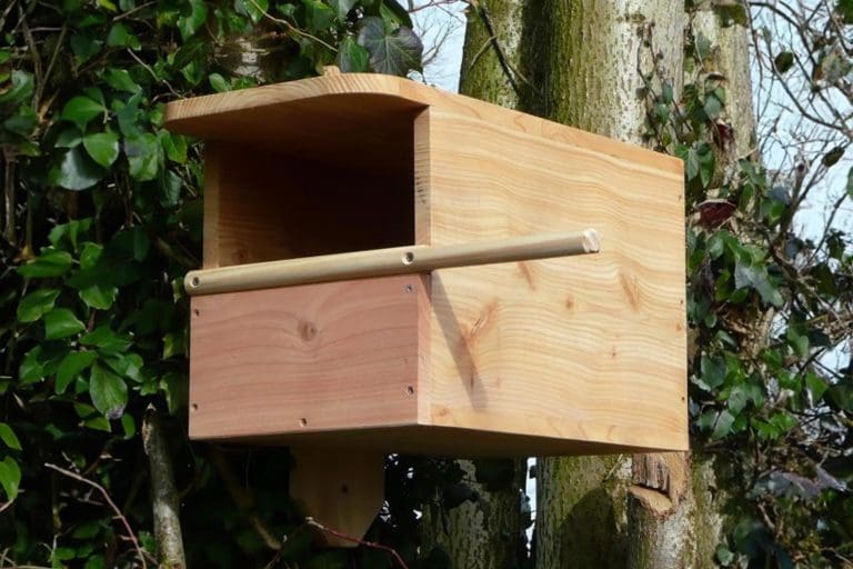 A large Kestrel nest box fixed on some trees