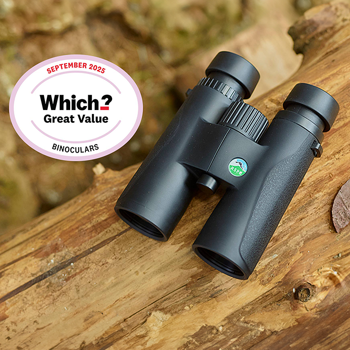 RESIZED100326_RSPBShop_SkylarkBinocularsWhichEndorsementpng A pair of RSPB branded binoculars