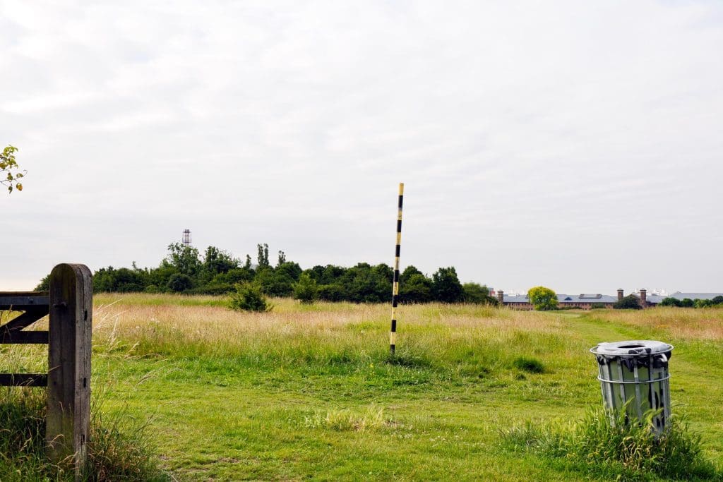 An open field in an urban landscape
