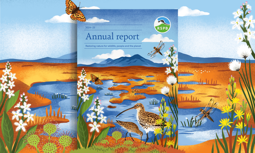 RSPB Annual report 2024-25.