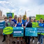 Previous Post Thumbnail