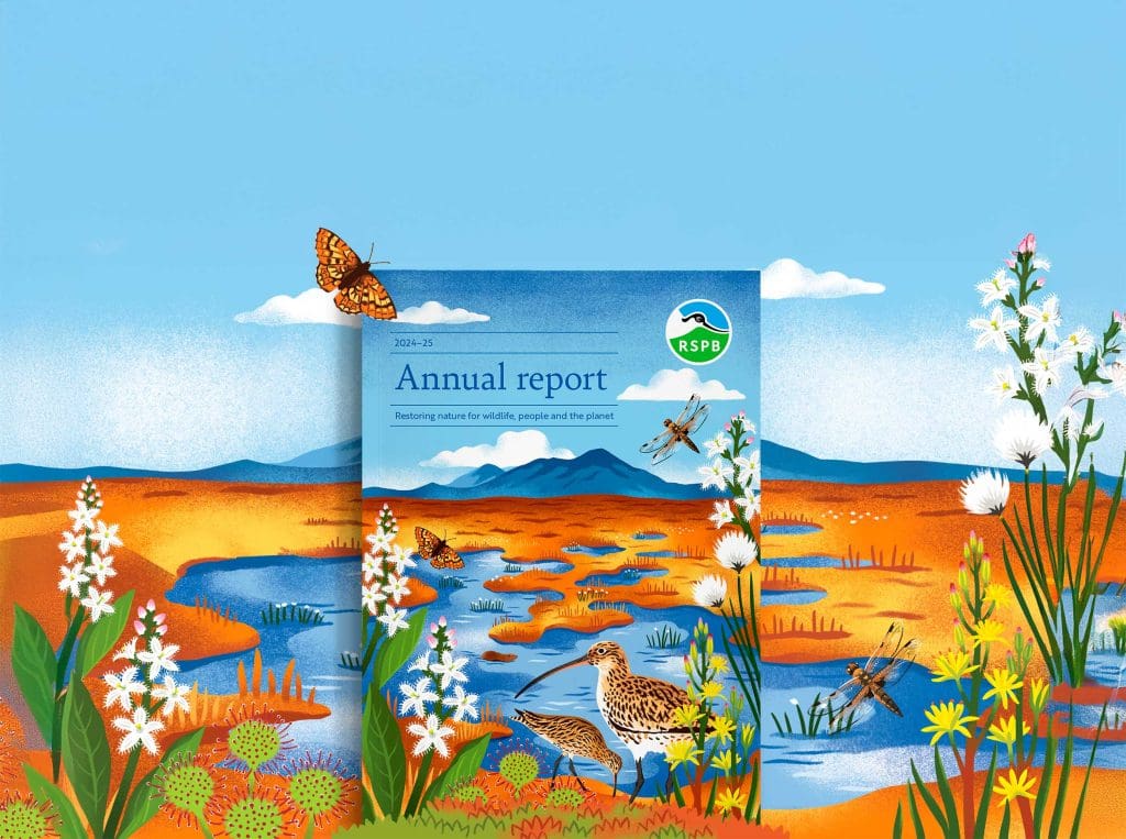RSPB Annual report 2024-25.