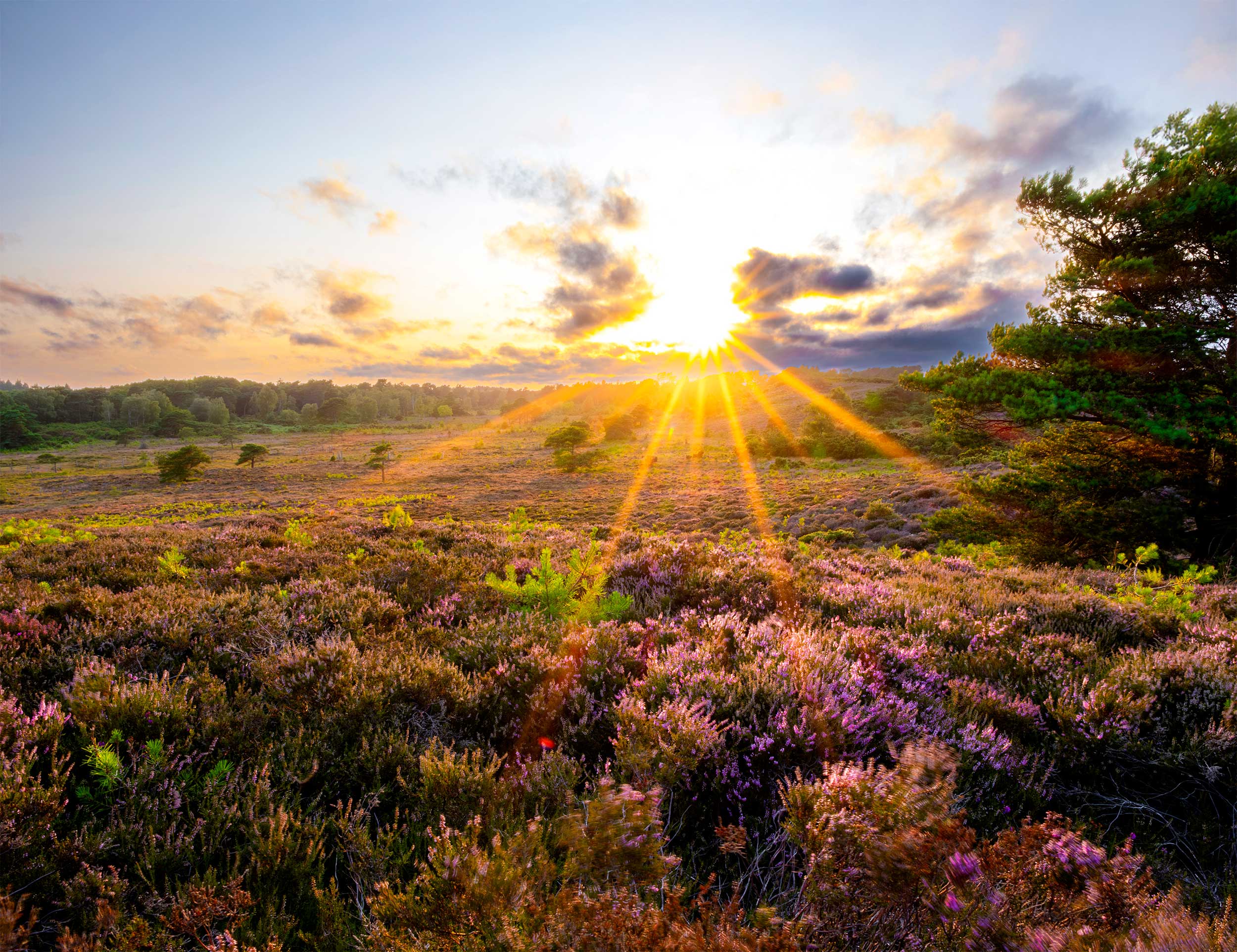 Sun setting over RSPB Arne