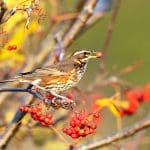 Previous Post Thumbnail