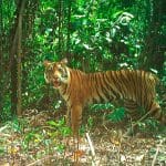 Previous Post Thumbnail