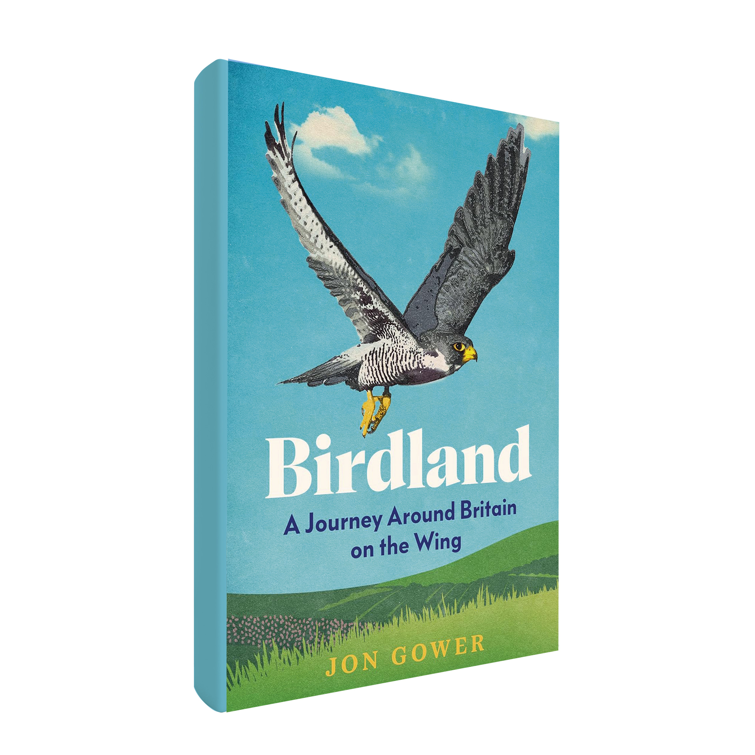 Book cover for Birdland by Jon Gower
