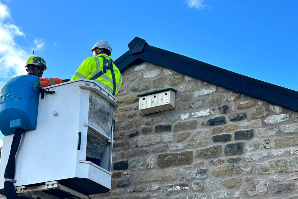 Openreach engineers in a cherry picker installing a terrace nest box on the side of a house