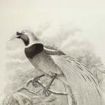 Previous Post Thumbnail