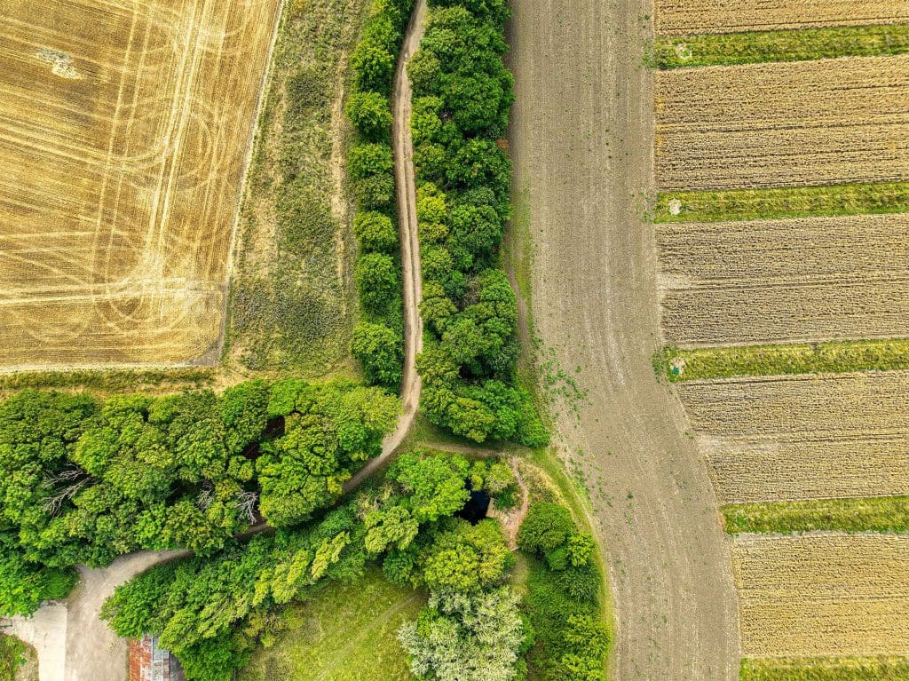 An aerial shot of trees and fields at Hope Farm