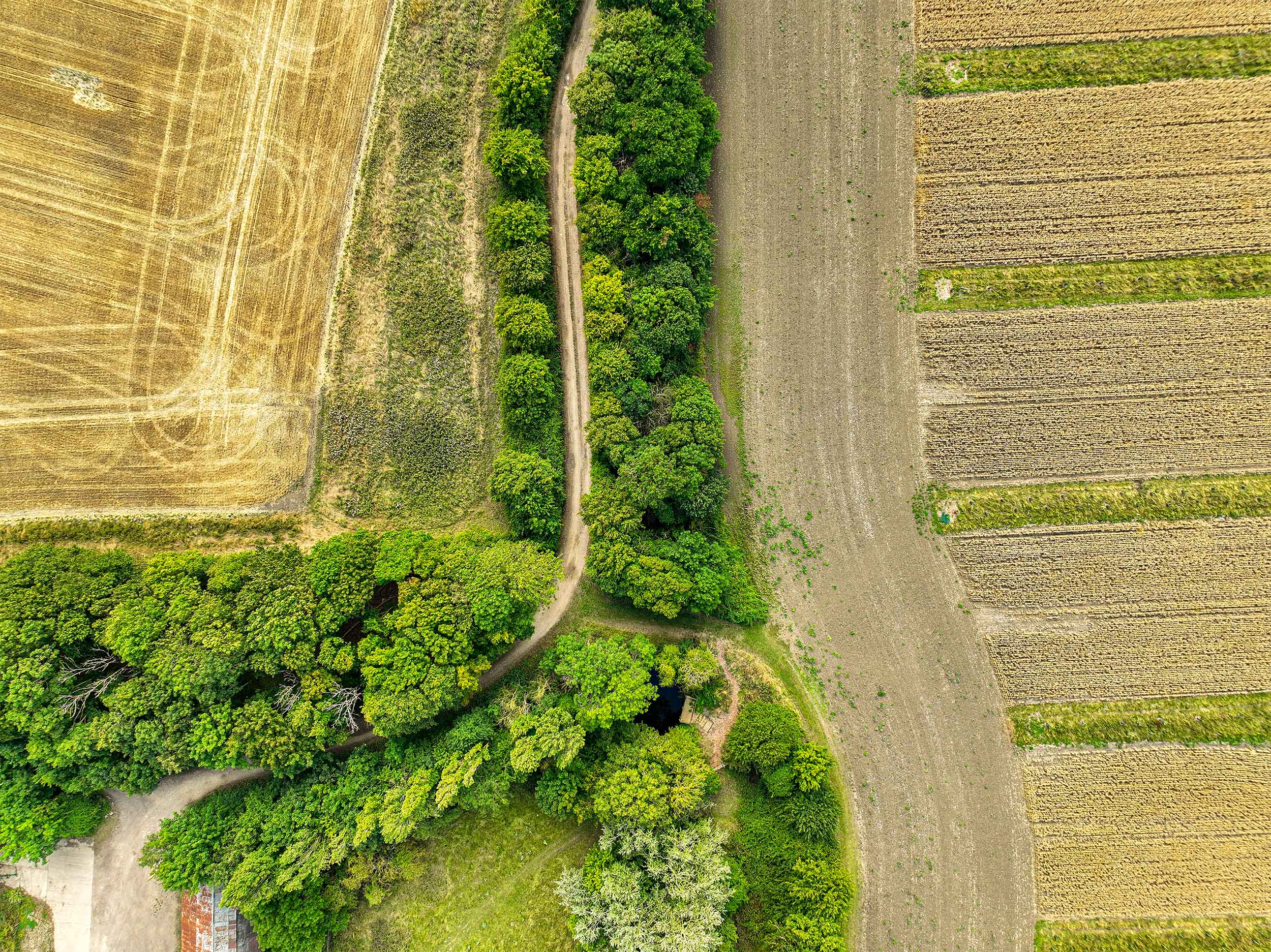 An aerial shot of trees and fields at Hope Farm
