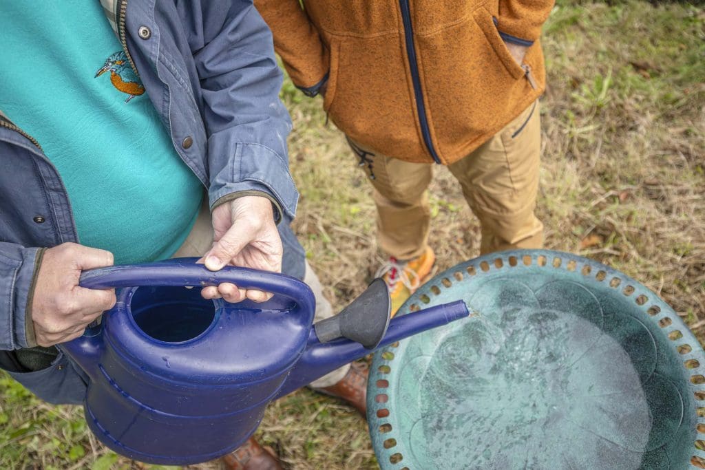 A man pours water from a watering can into a bird bath