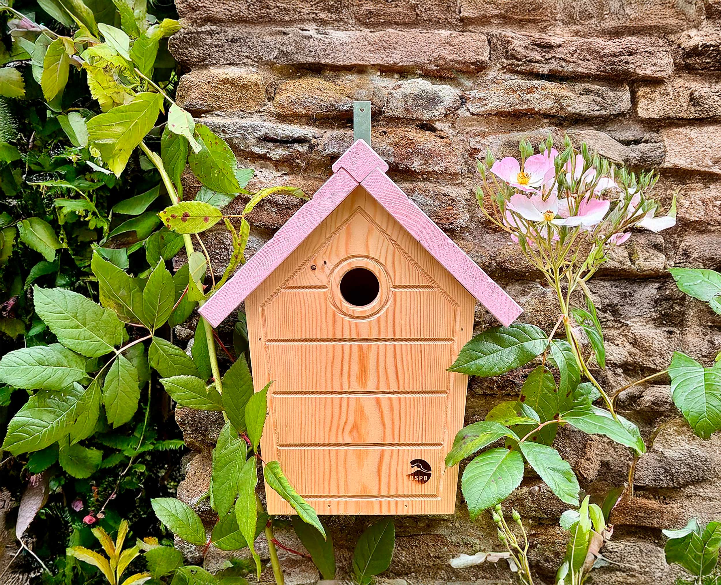 A wooden nest box with a pink lid mounted on a wall surrounded by foliage