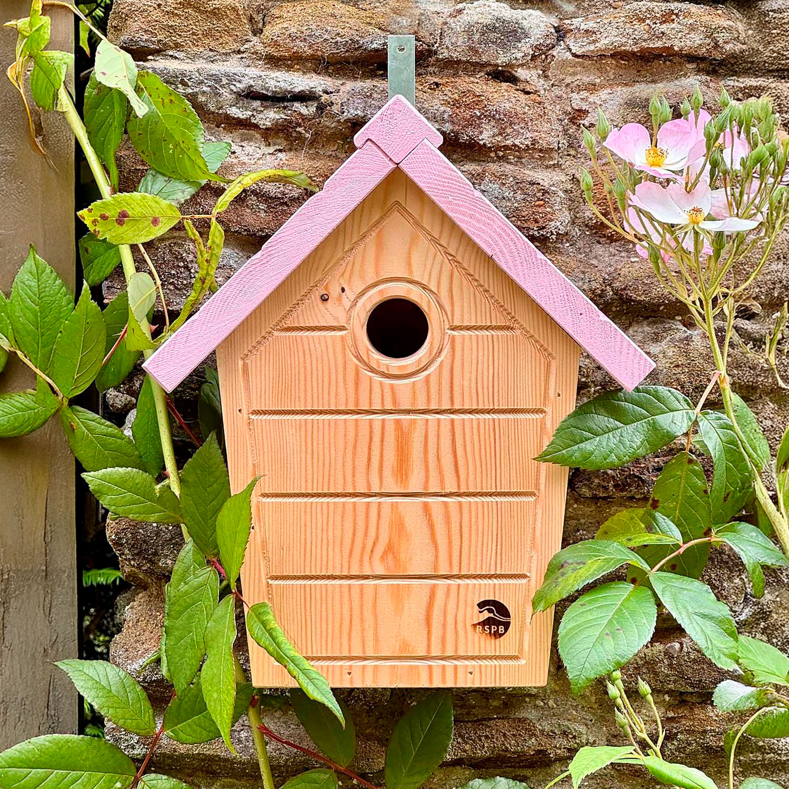 A wooden nest box with a pink lid mounted on a wall surrounded by foliage