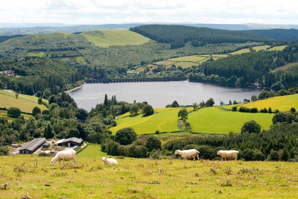 Rolling mountains and farm land