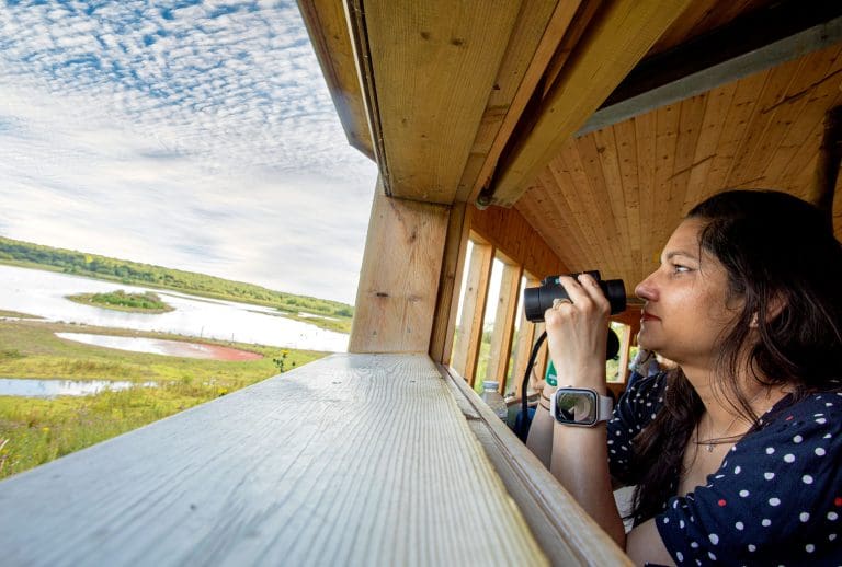 Woman birdwatching from a hide at nature reserve