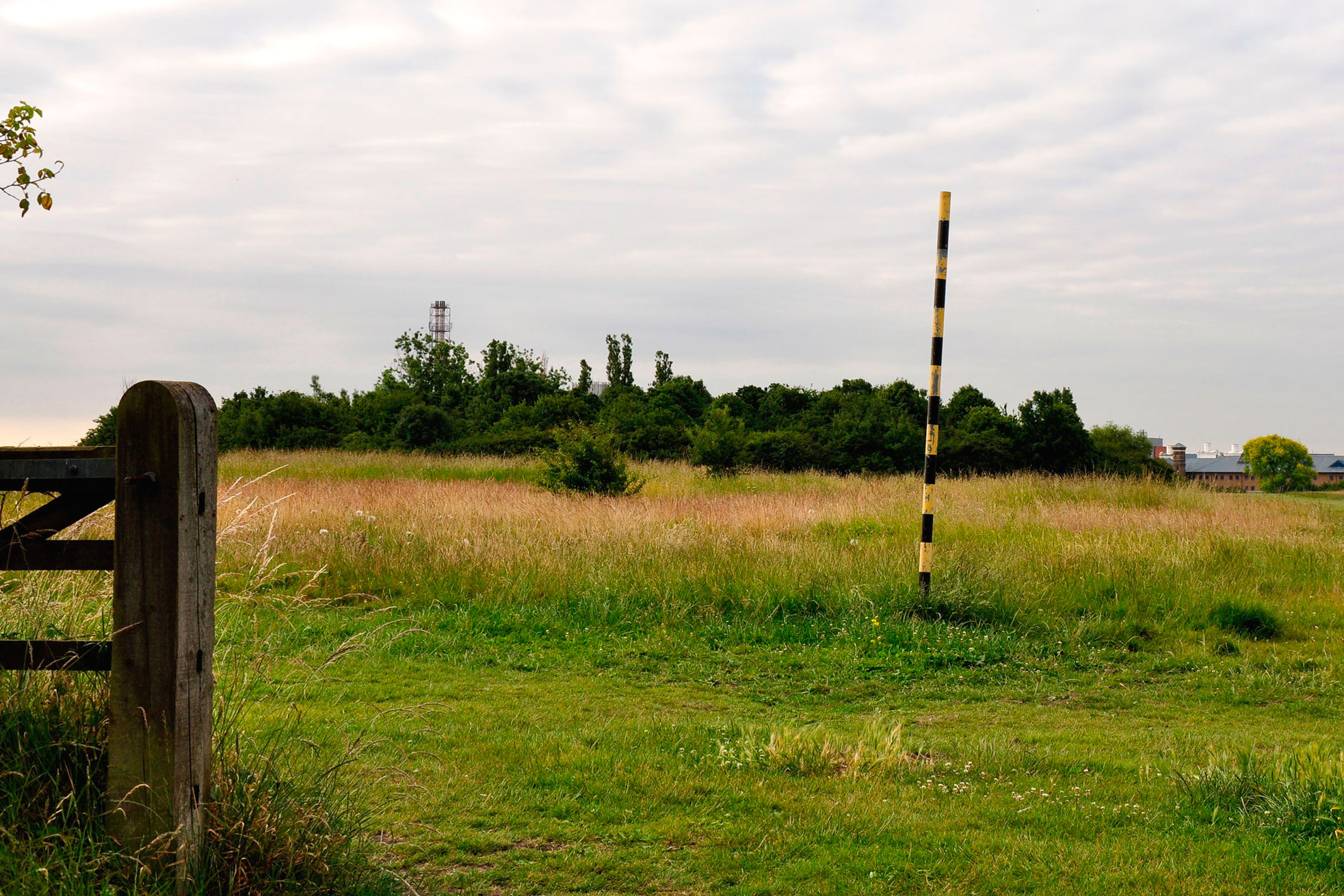 A green field at Wormwood Scrubs