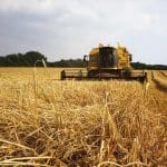 Previous Post Thumbnail