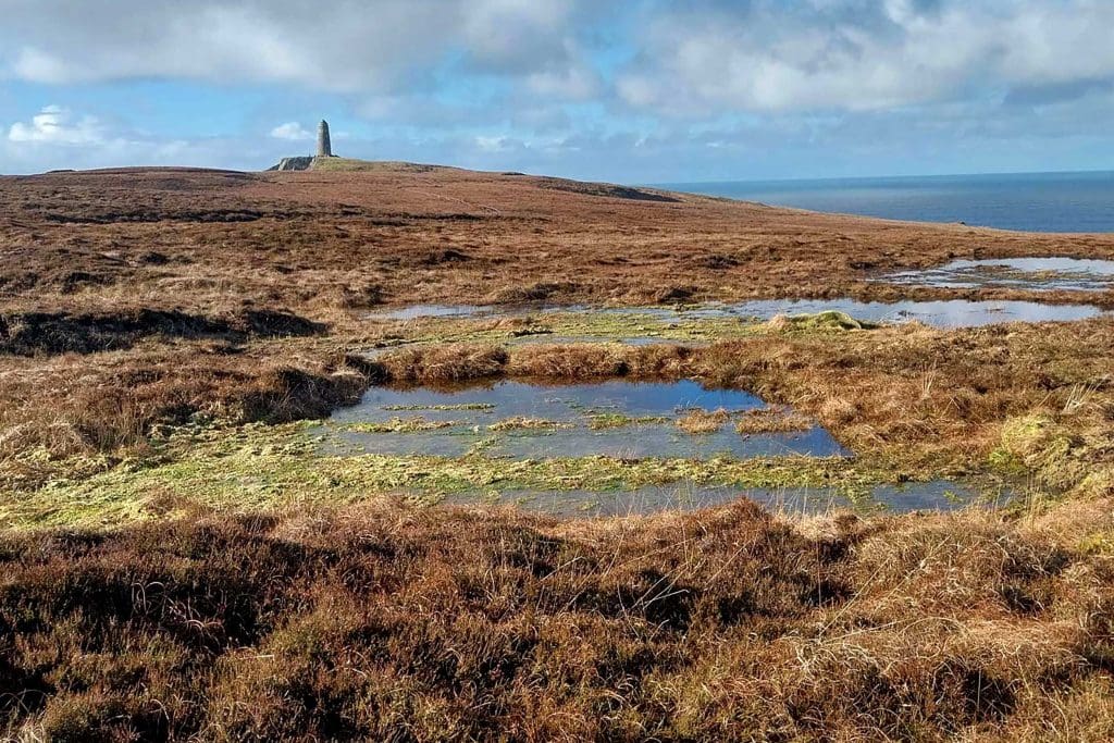 A landscape shot showing The OA's peatland