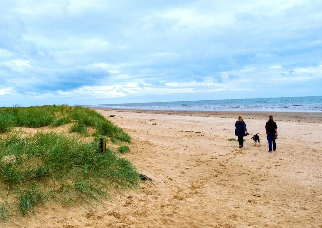 Two people walking a dog on the beach