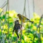 Previous Post Thumbnail