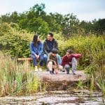 Previous Post Thumbnail