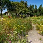 Previous Post Thumbnail