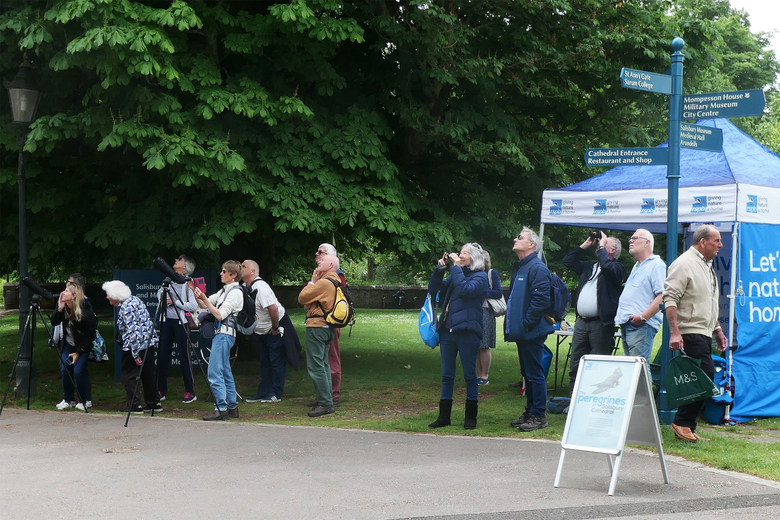 A group of people stand looking up through binoculars and telescopes next to an RSPB branded tent