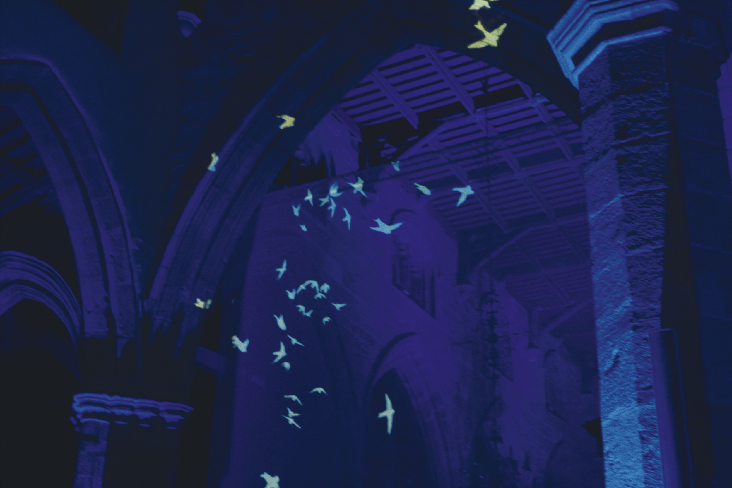 A projection of Swifts across the ceiling of a cathedral
