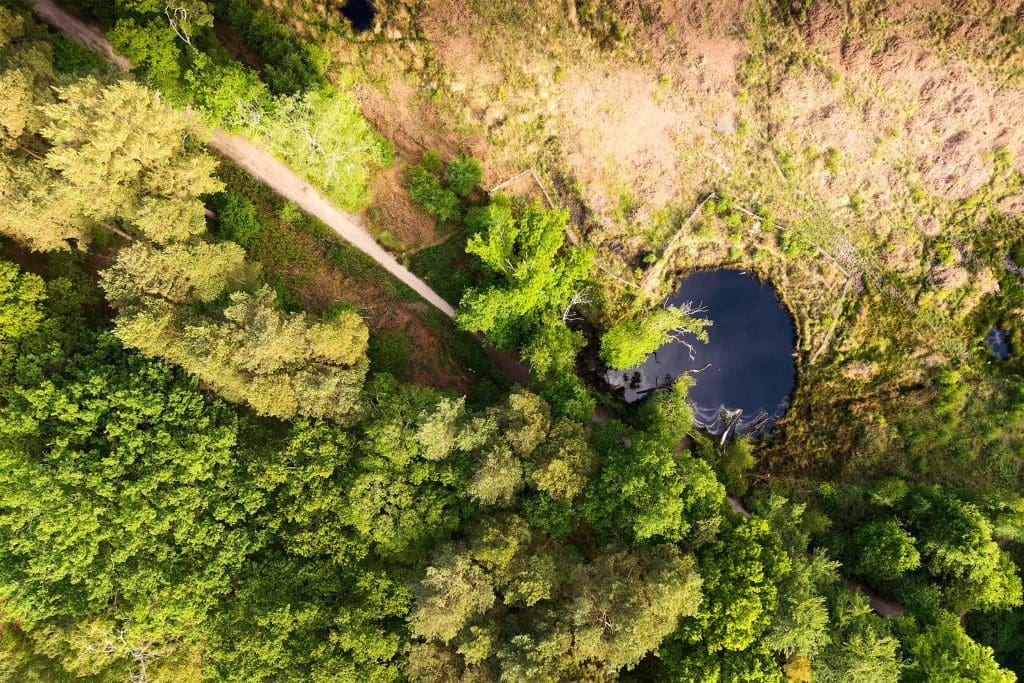 An aerial shot showing woodland and a pond