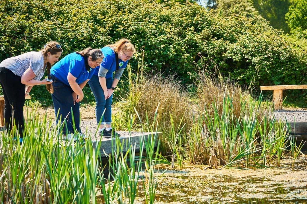 Three women are stood at the side of a pond, bent over and looking into the water