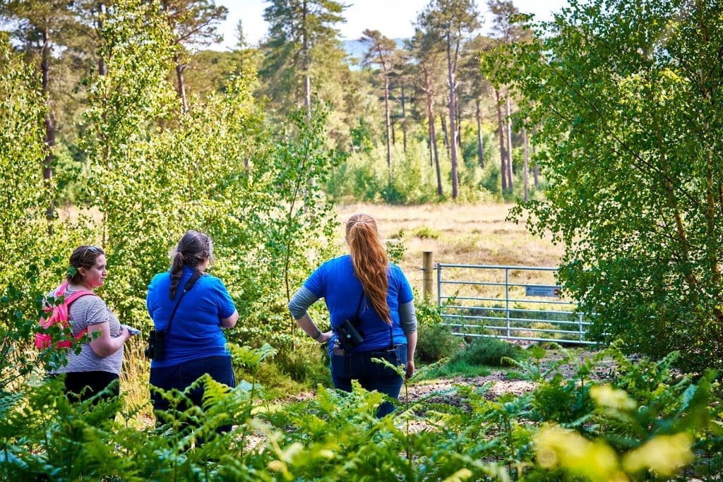 Three women stand in a woodland overlooking a field