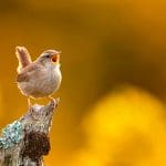 Previous Post Thumbnail