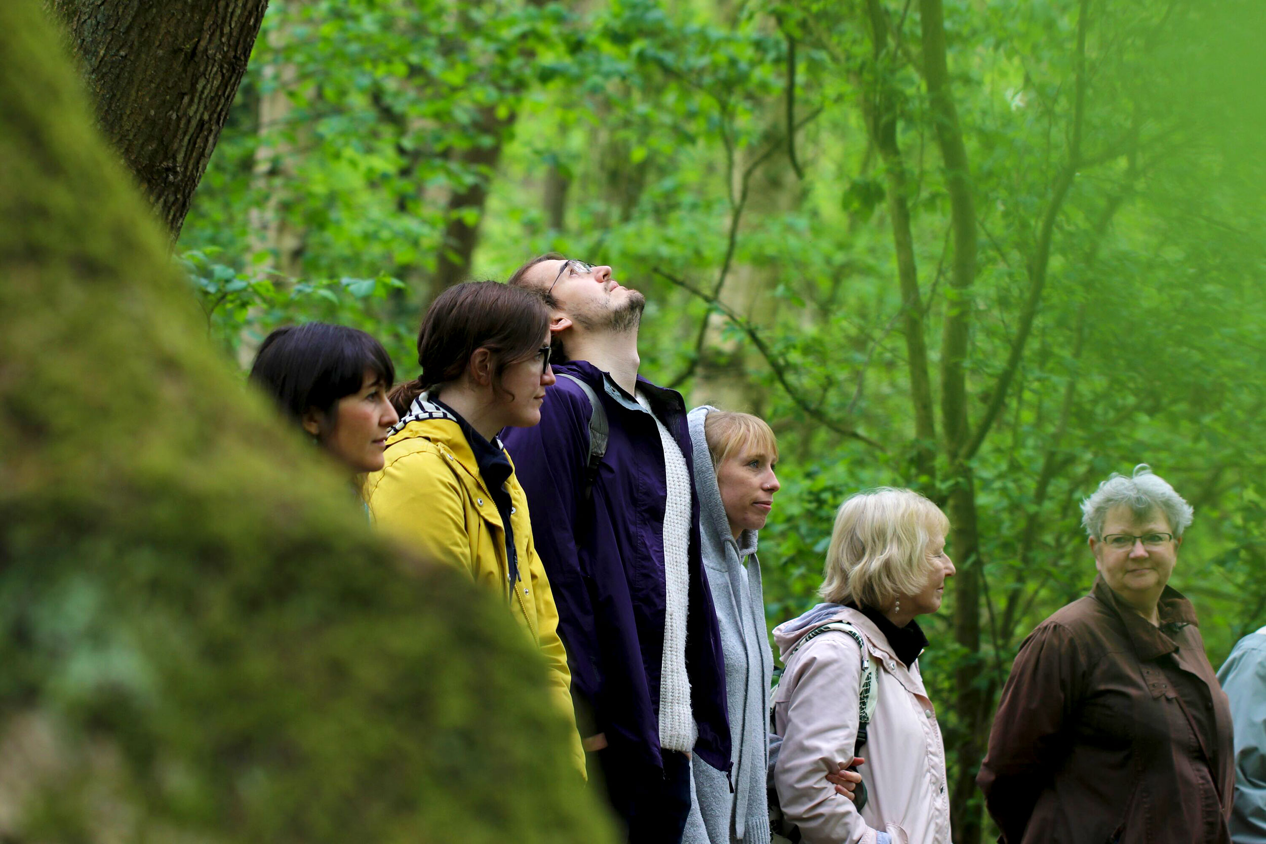 A group of people in a forest; one man looking up at the canopy