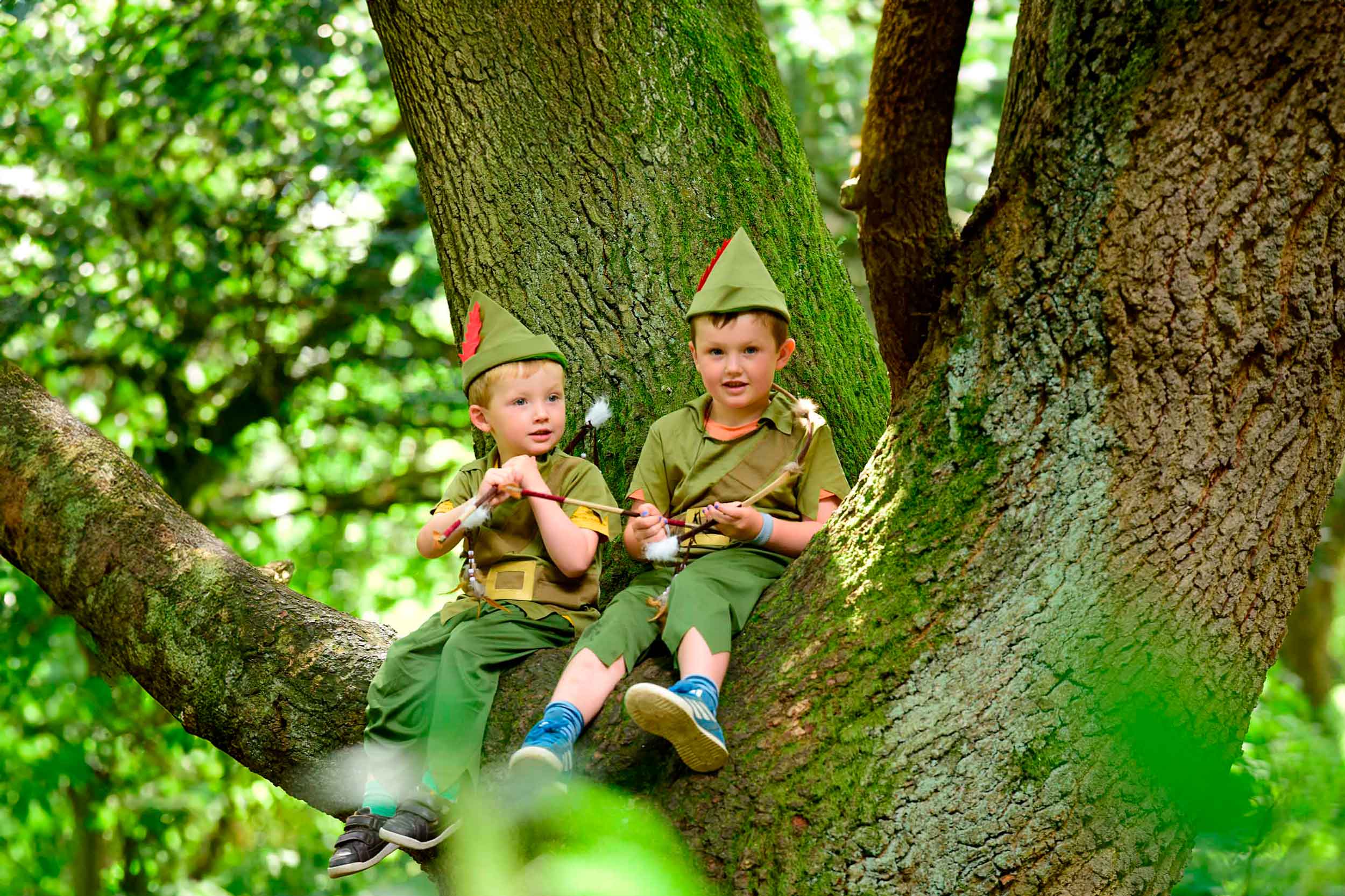 Two small childrren sitting in a large tree, dressed in Robin Hood costumes