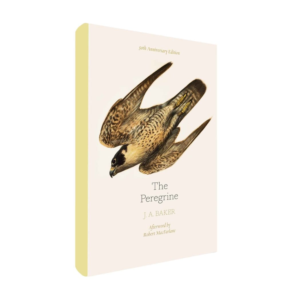 The peregrine book cover, featuring an illustration of a diving Peregrine