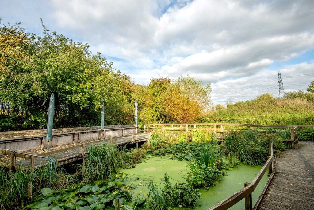 Photo of a pond at RSPB Rye Meads