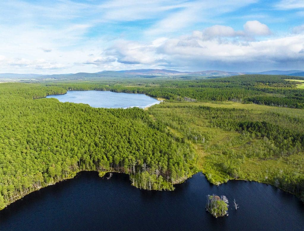 Aerial view of a pine forest, with two lochs visible