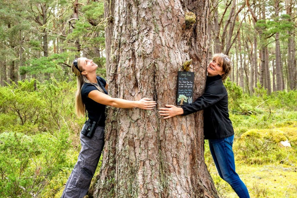 DSC01132 Two women hugging the wide trunk of a granny pine