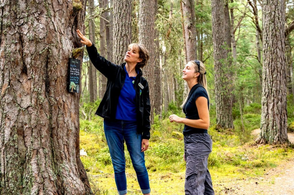 DSC01154 Two women looking at the trunk of a Scots Pine tree in a woodland