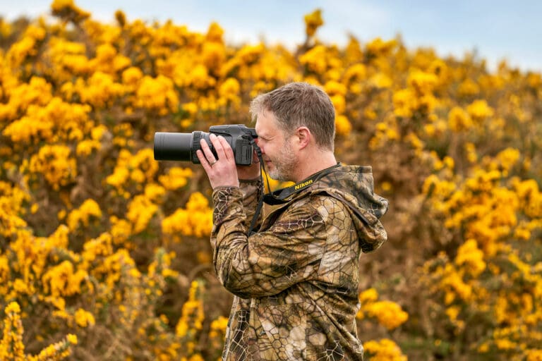 A photographer takes a photo while standing in a field of golden flowers.