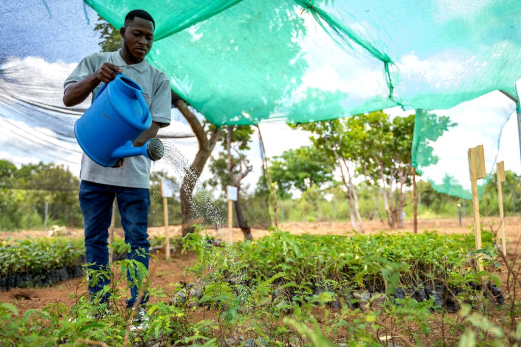 A man watering seedlings under a green canopy