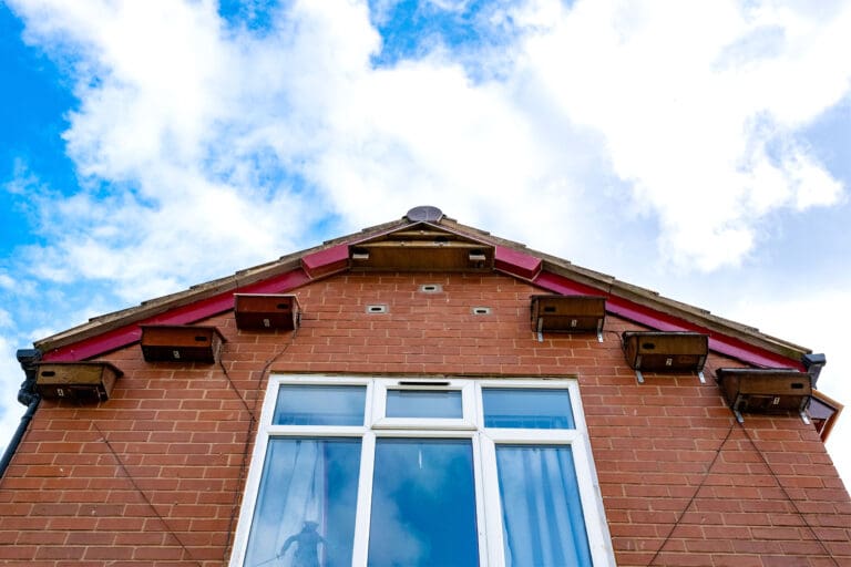 Nestboxes arranged on the side of a modern house.